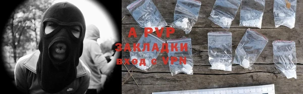 индика Аркадак