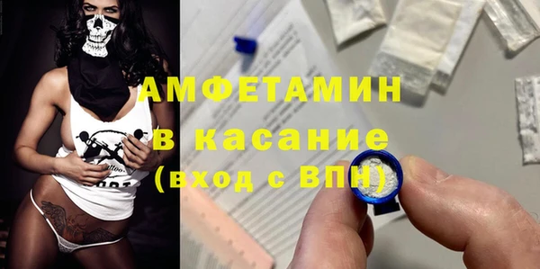 индика Аркадак