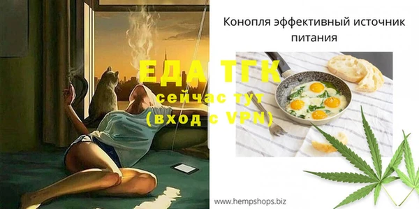 индика Аркадак